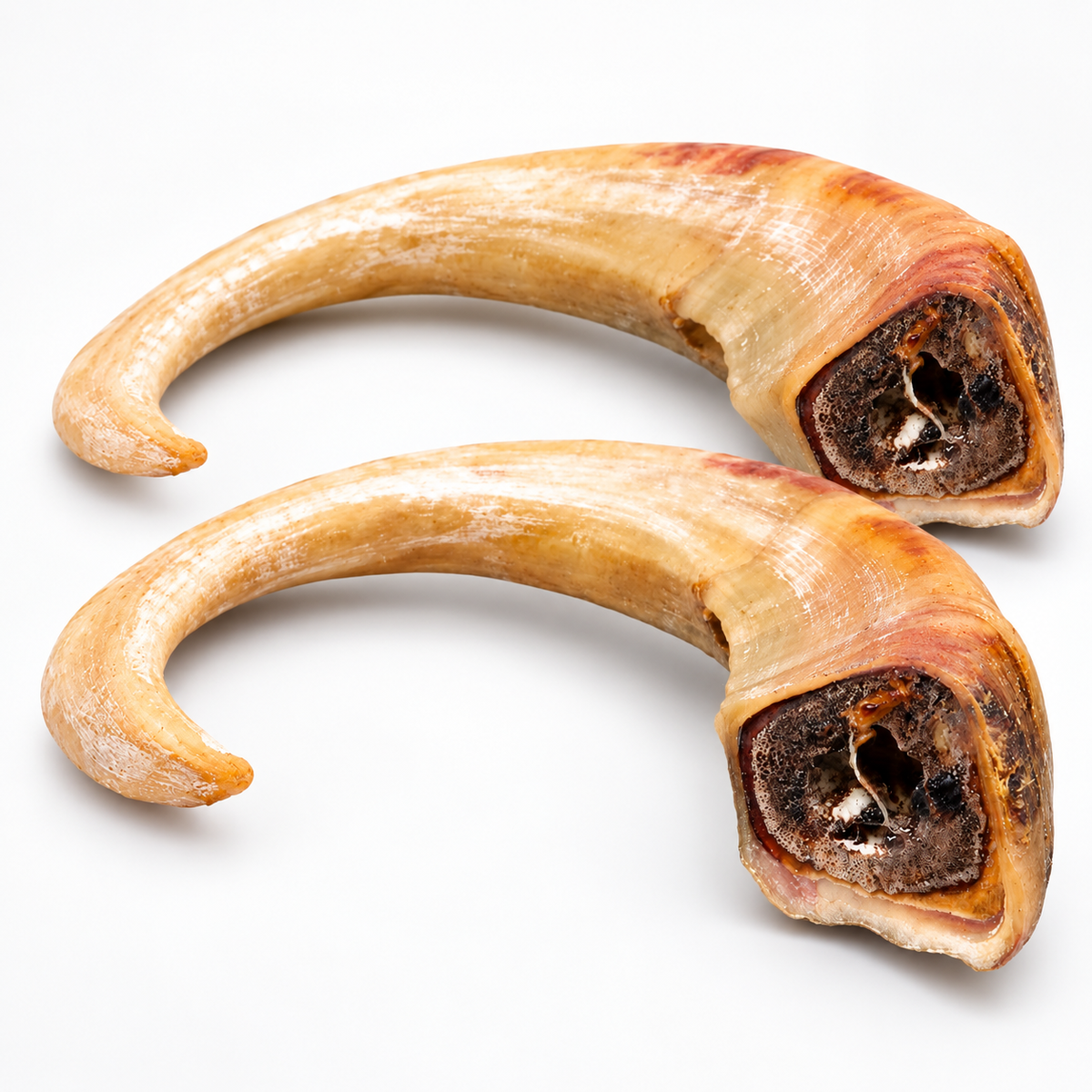 Dehydrated Goat Horn Dog Chew (Large) | Single-Ingredient, Ultra-Durable, Long-Lasting