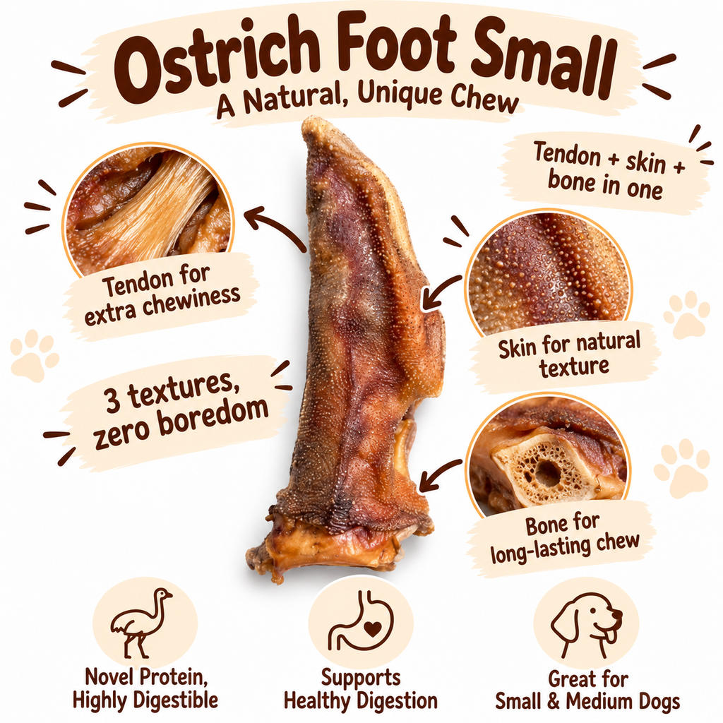 Dehydrated Ostrich Foot Dog Chew (Small) | Single-Ingredient, Tendon & Bone