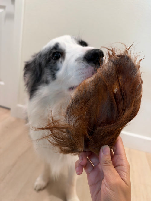 6-Piece Fur-On Chew Bundle、Fur-On Feast