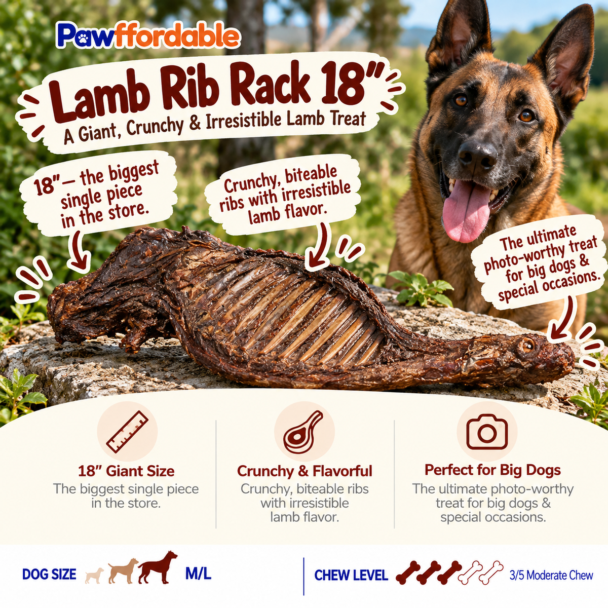 Dehydrated Lamb Rib Rack Dog Chew (18") | Single-Ingredient, Crunchy Whole Cut