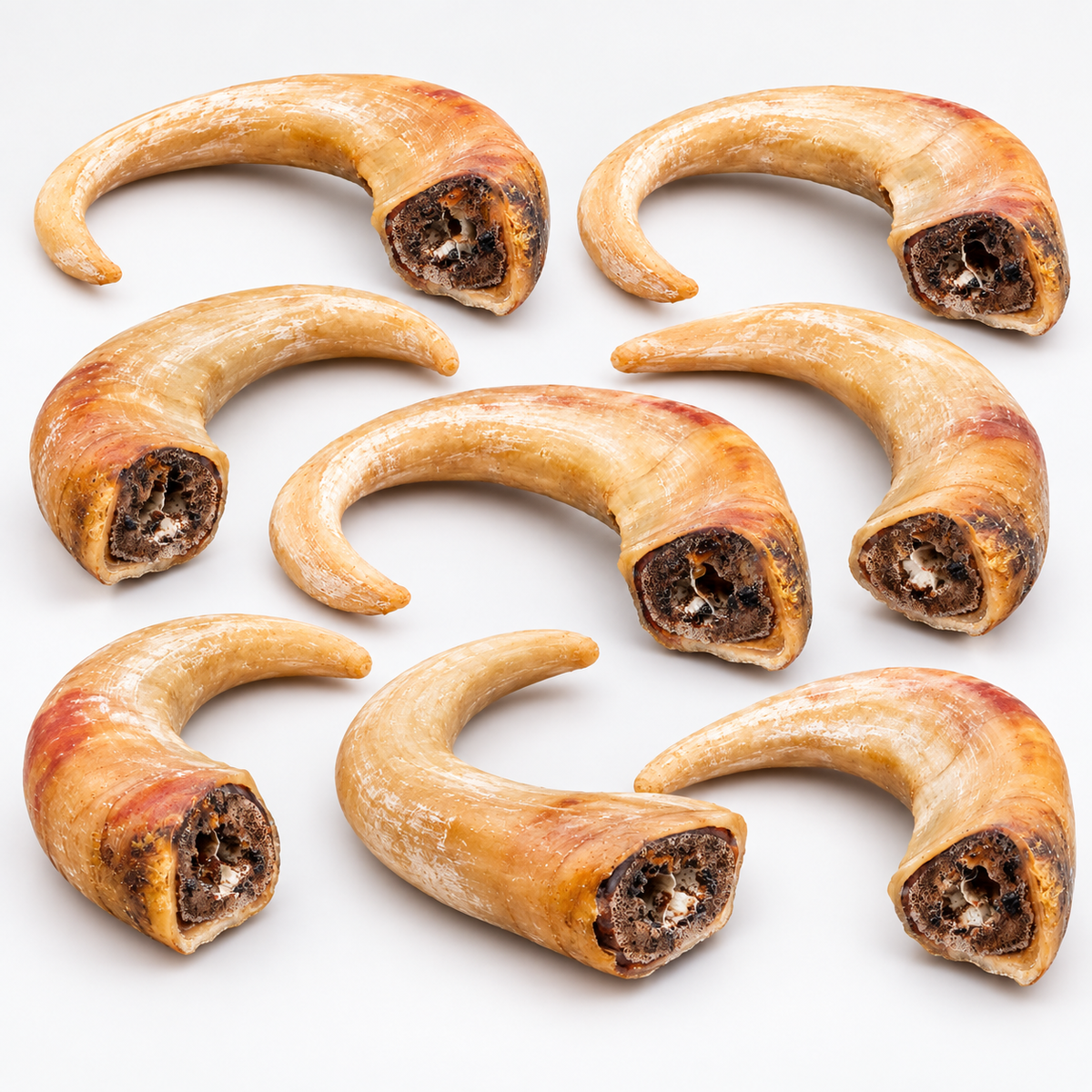 Dehydrated Goat Horn Dog Chew (Large) | Single-Ingredient, Ultra-Durable, Long-Lasting