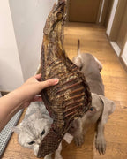 Dehydrated Lamb Rib Rack Dog Chew (18") | Single-Ingredient, Crunchy Whole Cut