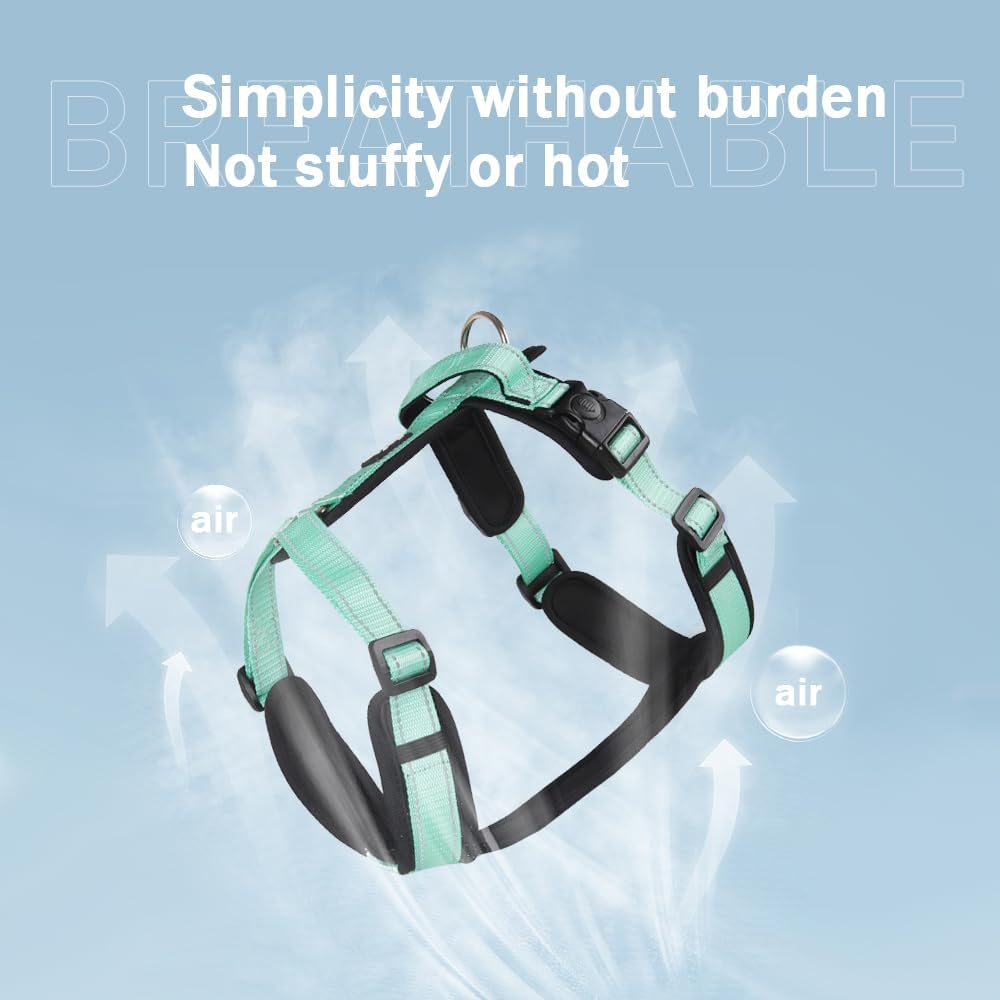 Y-Shaped Dog Harness with Handle with a leash set - Size Small