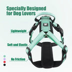 Y-Shaped Dog Harness with Handle with a leash set - Size Small
