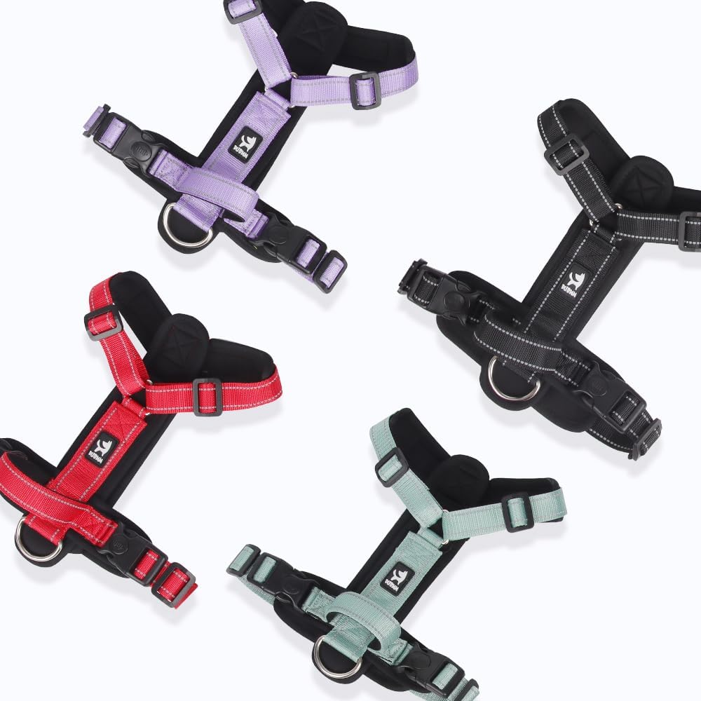 Y-Shaped Dog Harness with Handle with a leash set - Size Small