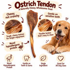Dehydrated Ostrich Tendon Dog Chew | Single-Ingredient, Chewy & Flexible