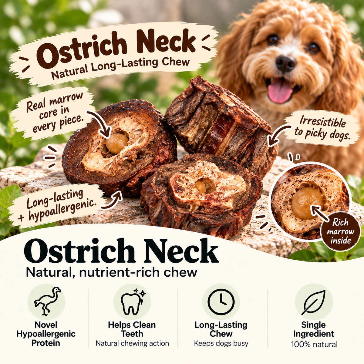 Dehydrated Ostrich Neck Dog Chew | Single-Ingredient, Marrow-Filled, Long-Lasting