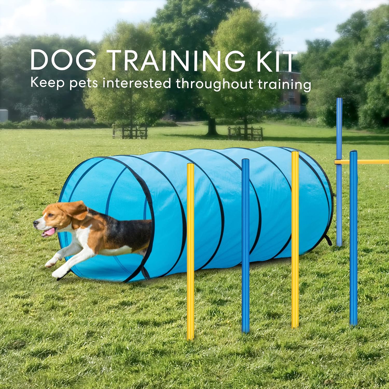 Dog Agility Equipment Pet Obstacle Training Course Kit