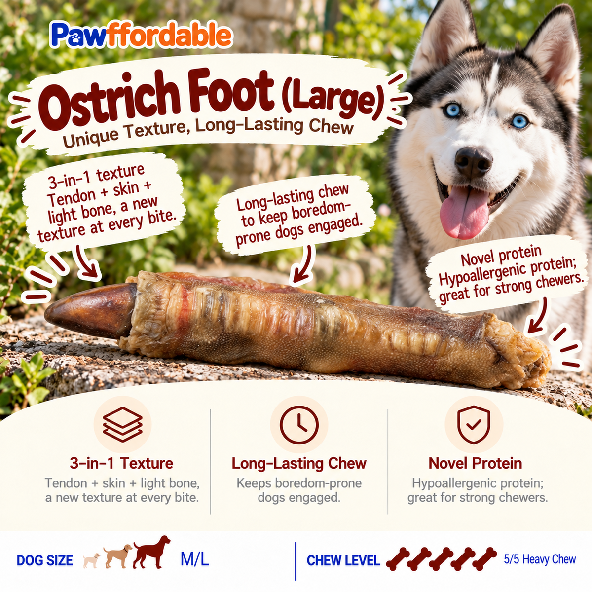 Dehydrated Ostrich Foot Dog Chew (Large) | Single-Ingredient, Tendon & Bone
