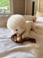 Dehydrated Beef Hip Bone Dog Chew | Single-Ingredient, Dense Natural Bone