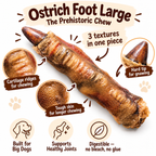 Dehydrated Ostrich Foot Dog Chew (Large) | Single-Ingredient, Tendon & Bone