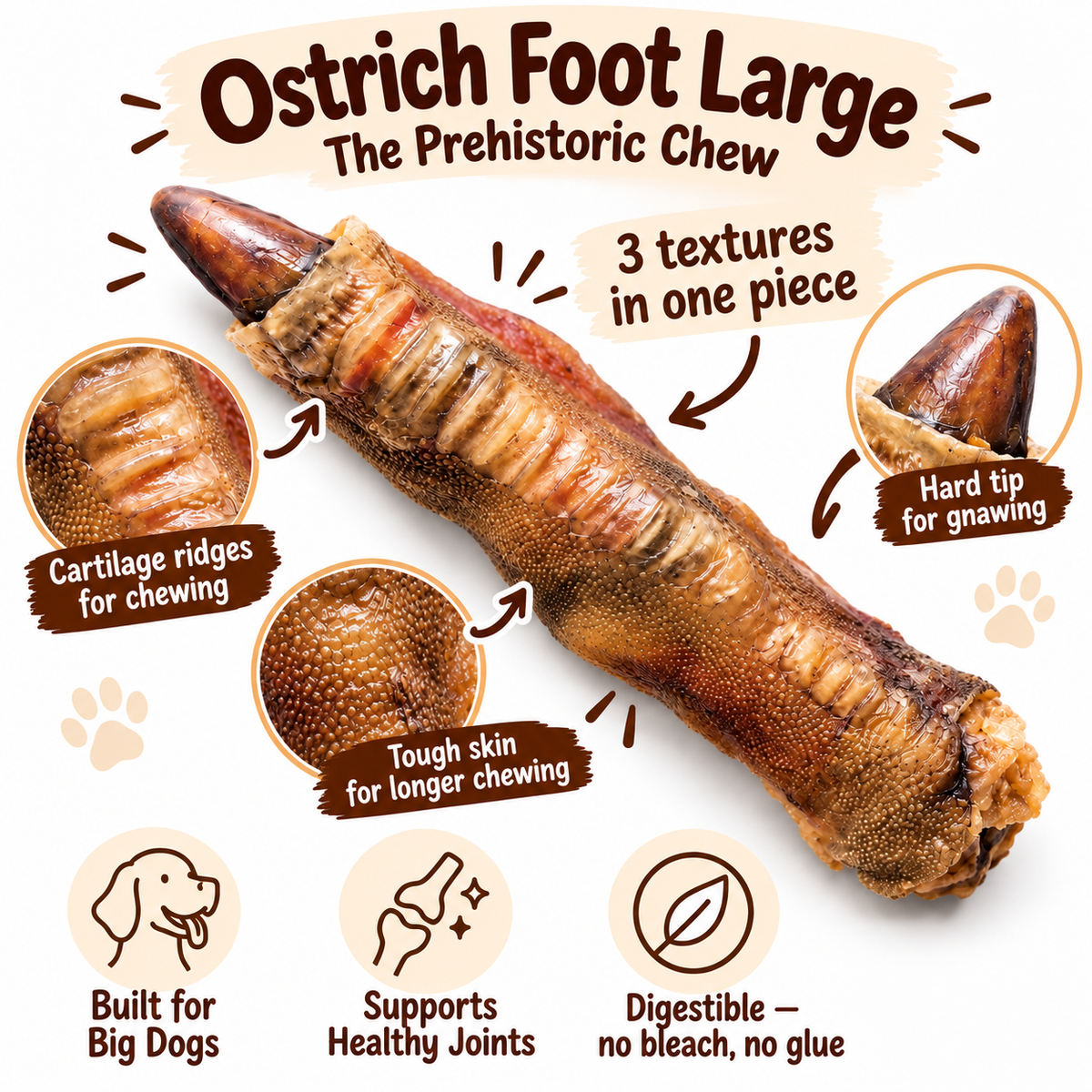 Dehydrated Ostrich Foot Dog Chew (Large) | Single-Ingredient, Tendon & Bone