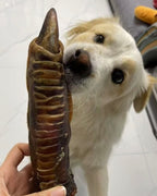 Dehydrated Ostrich Foot Dog Chew (Large) | Single-Ingredient, Tendon & Bone