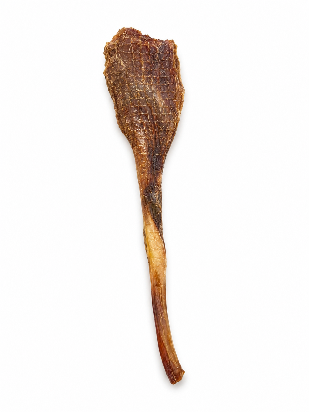 Dehydrated Ostrich Tendon Dog Chew | Single-Ingredient, Chewy & Flexible