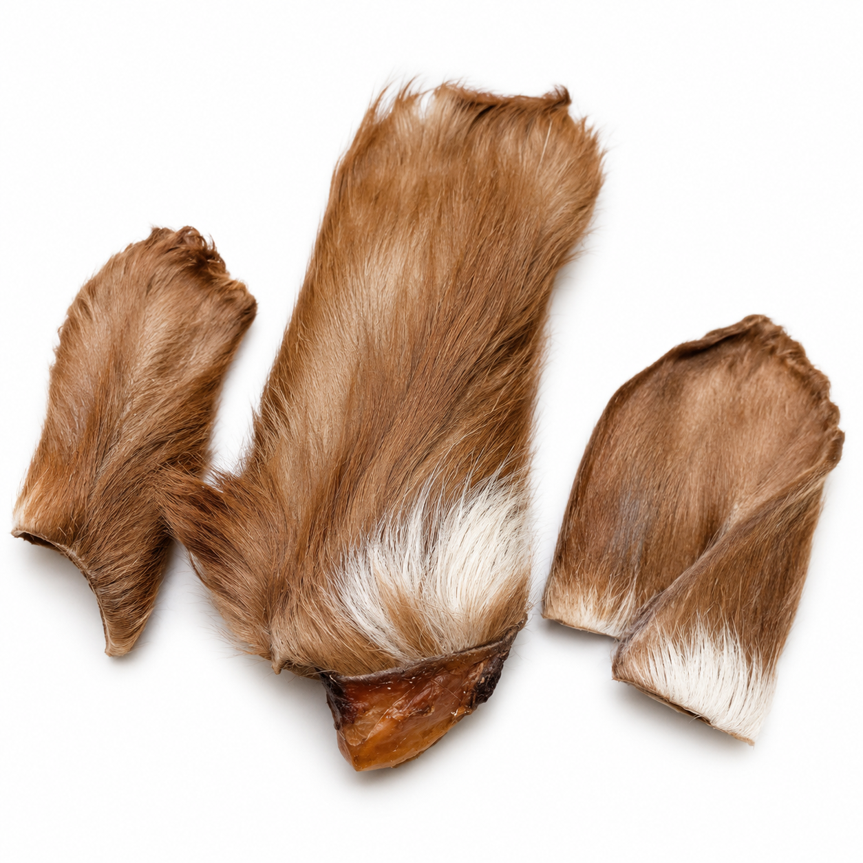 Dehydrated Beef Ear Dog Chew | Single-Ingredient, Fur-On, Natural Fiber Treat