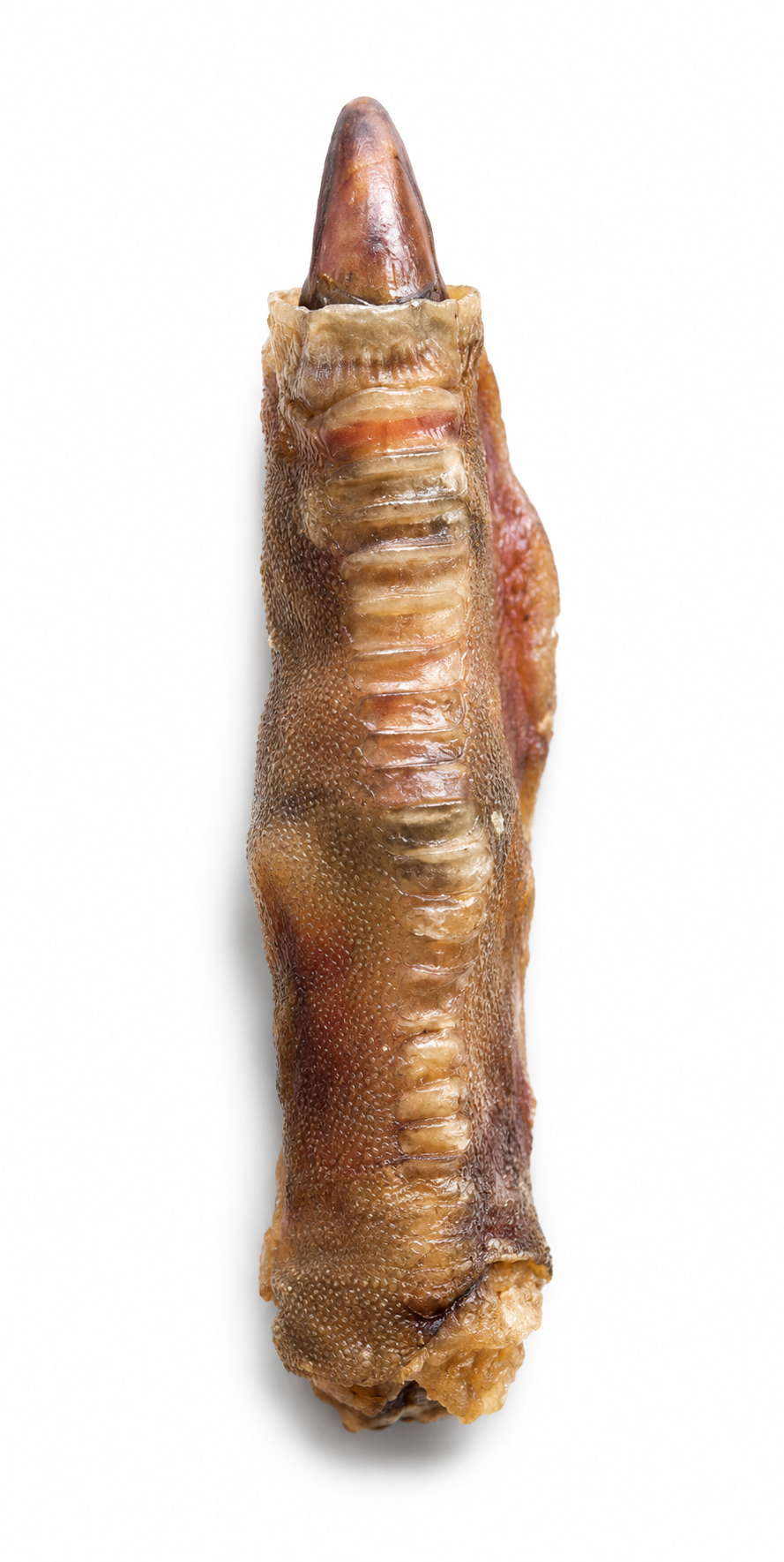 Dehydrated Ostrich Foot Dog Chew (Large) | Single-Ingredient, Tendon & Bone