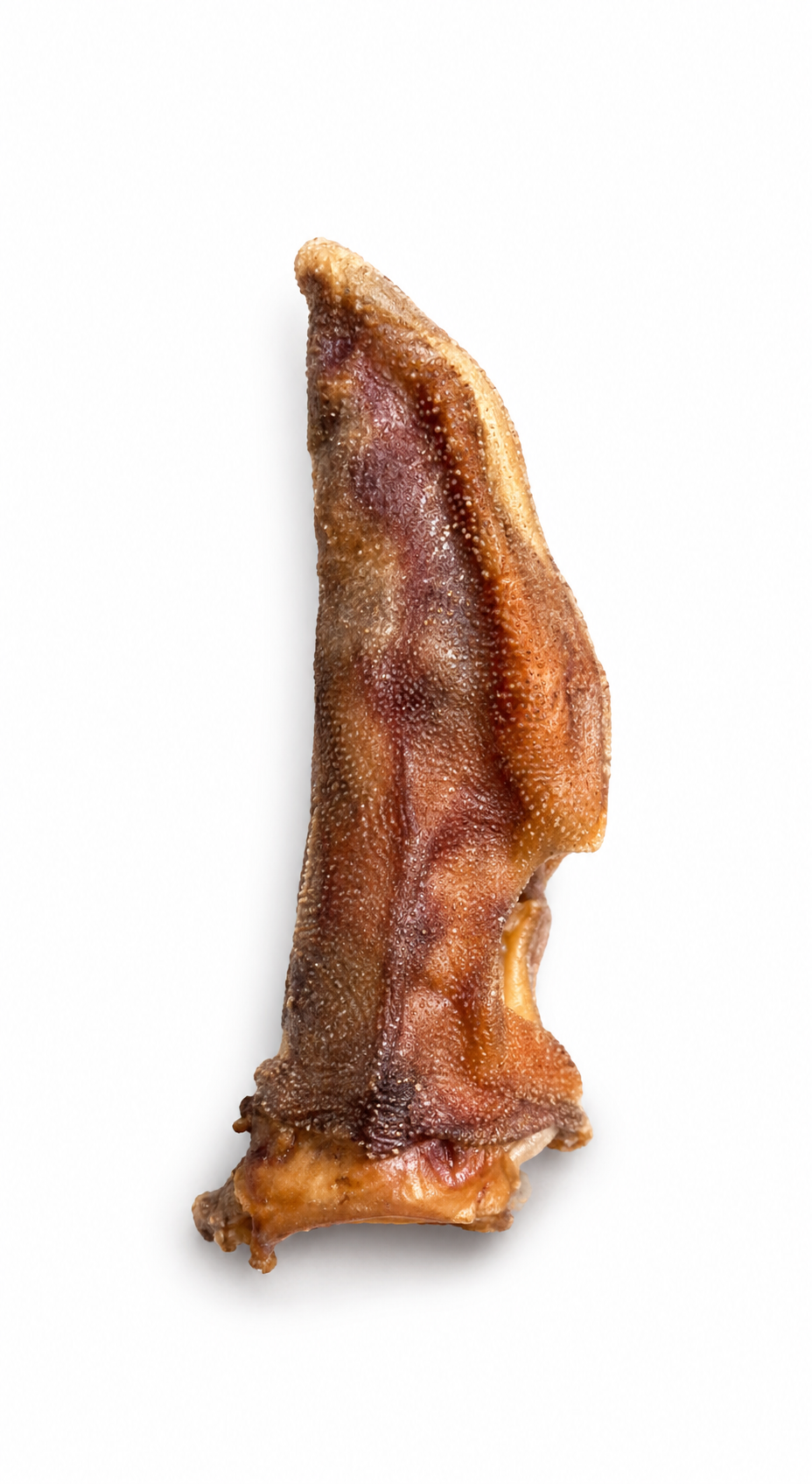 Dehydrated Ostrich Foot Dog Chew (Small) | Single-Ingredient, Tendon & Bone