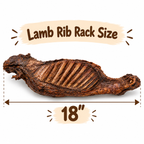 Dehydrated Lamb Rib Rack Dog Chew (18") | Single-Ingredient, Crunchy Whole Cut