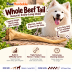 Dehydrated Whole Beef Tail (Large) | Single-Ingredient, Extra-Long Session