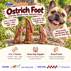 Dehydrated Ostrich Foot Dog Chew (Small) | Single-Ingredient, Tendon & Bone