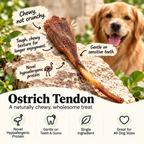 Dehydrated Ostrich Tendon Dog Chew | Single-Ingredient, Chewy & Flexible
