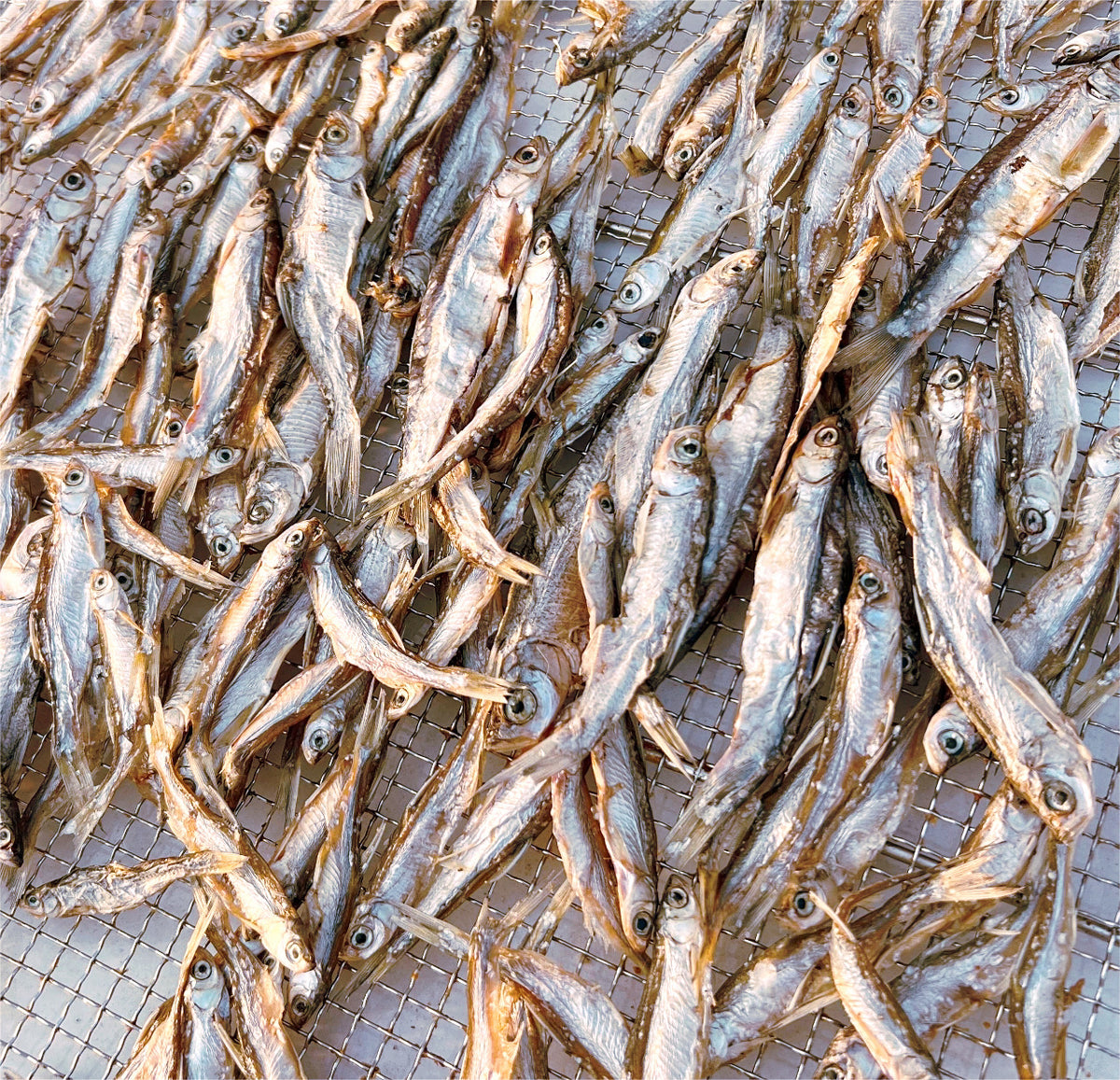 Dried Whole Anchovies for Dogs & Cats | Single-Ingredient, Omega-Rich Treat