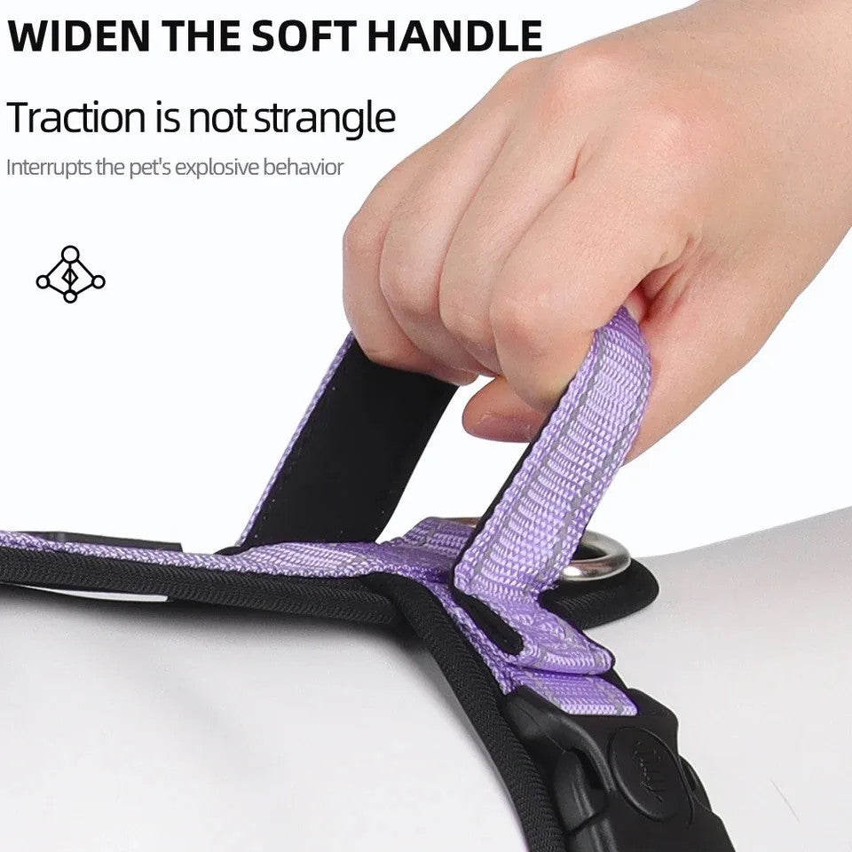 Y-Shaped Dog Harness with Handle with a leash set - Size Large