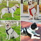 Y-Shaped Dog Harness with Handle with a leash set - Size Small