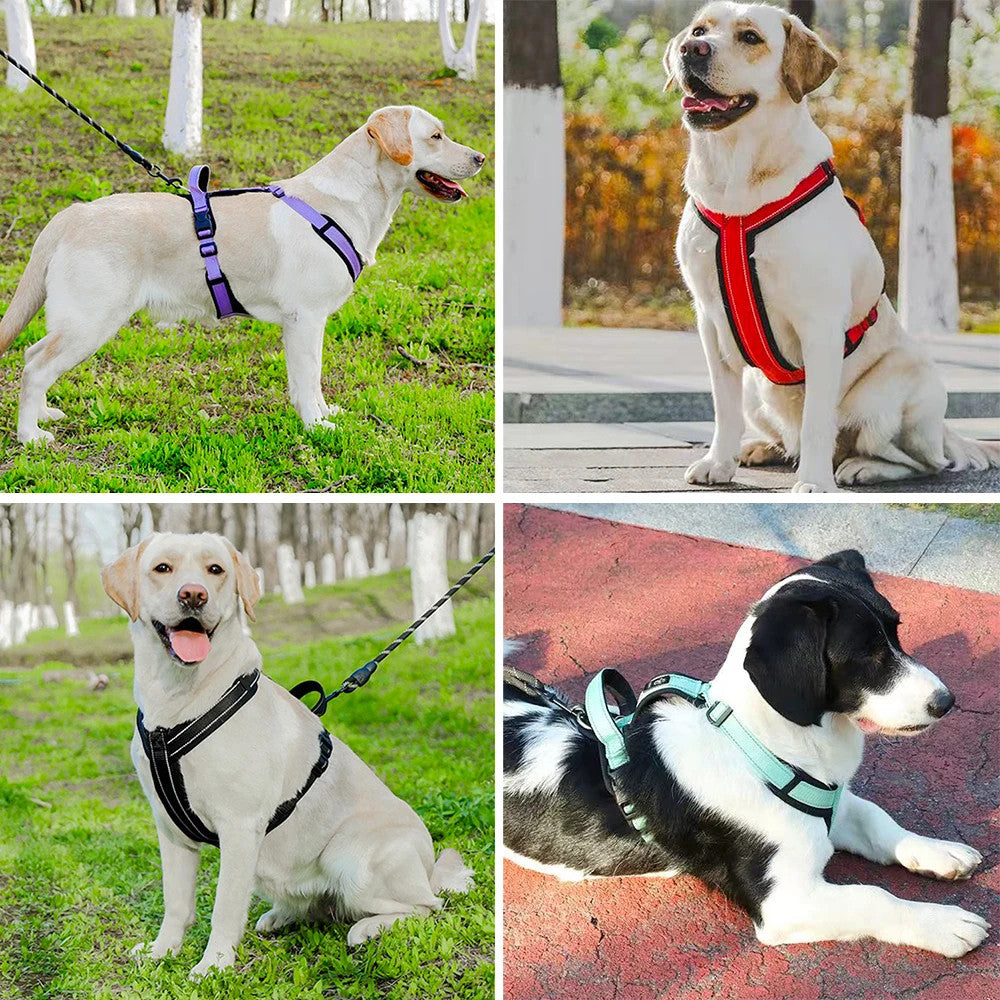 Y-Shaped Dog Harness with Handle with a leash set - Size Small